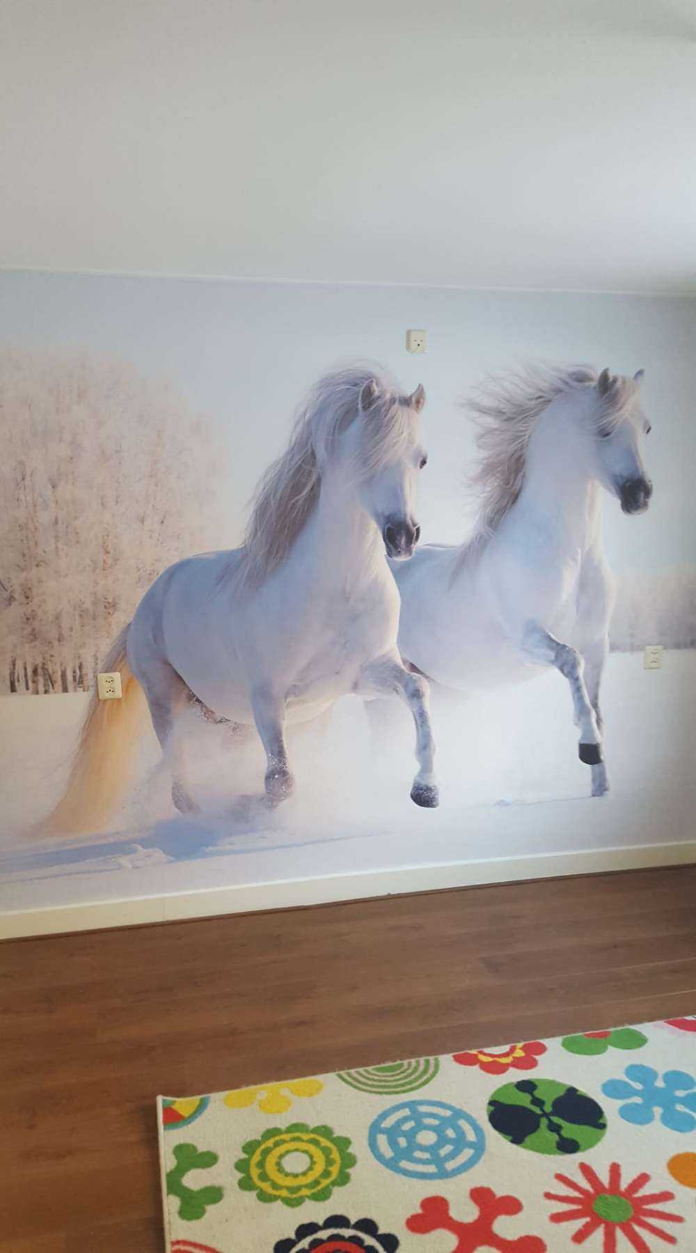 Caballos en la nieve