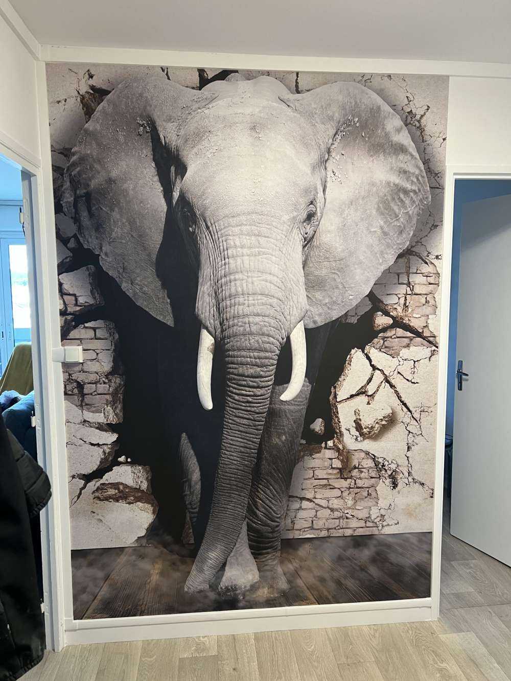 Elefante 3D de la pared