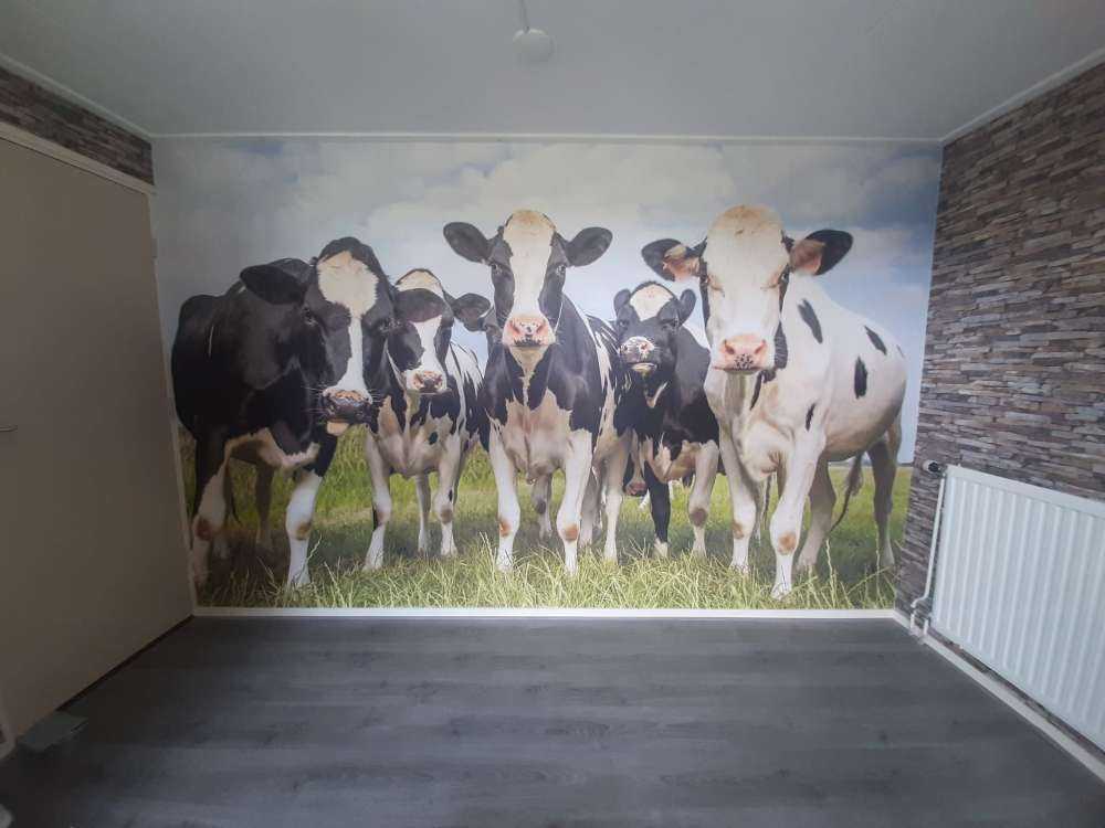 Rebaño con vacas