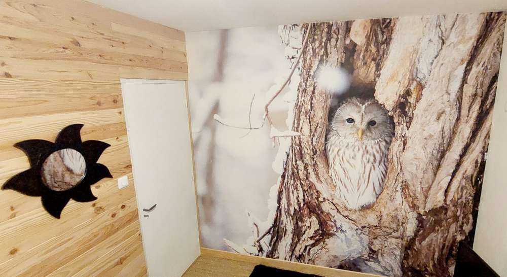 Búho blanco en un árbol hueco