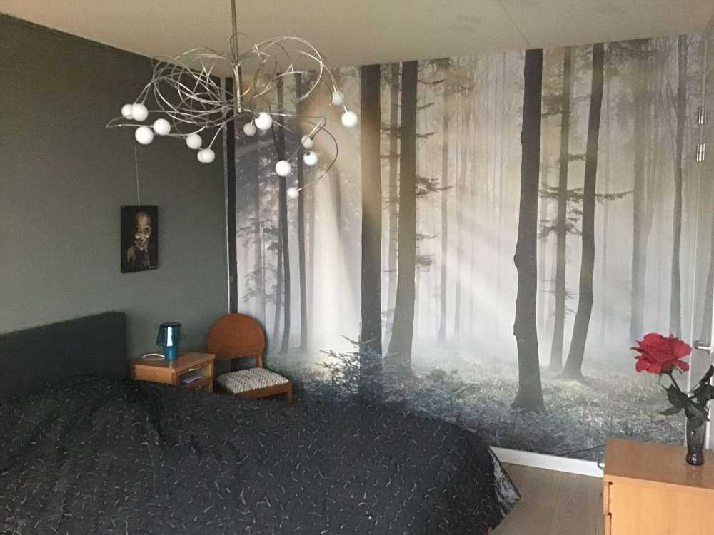 Bosque nebuloso