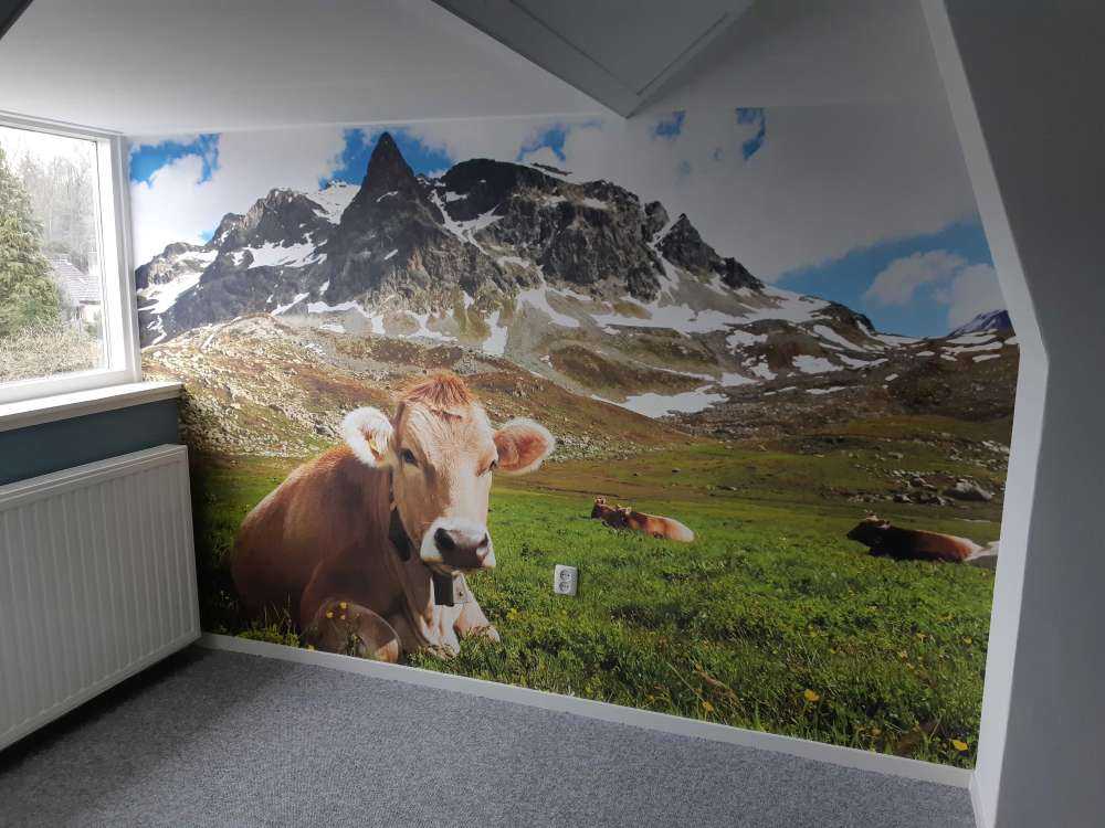 Vaca austriaca