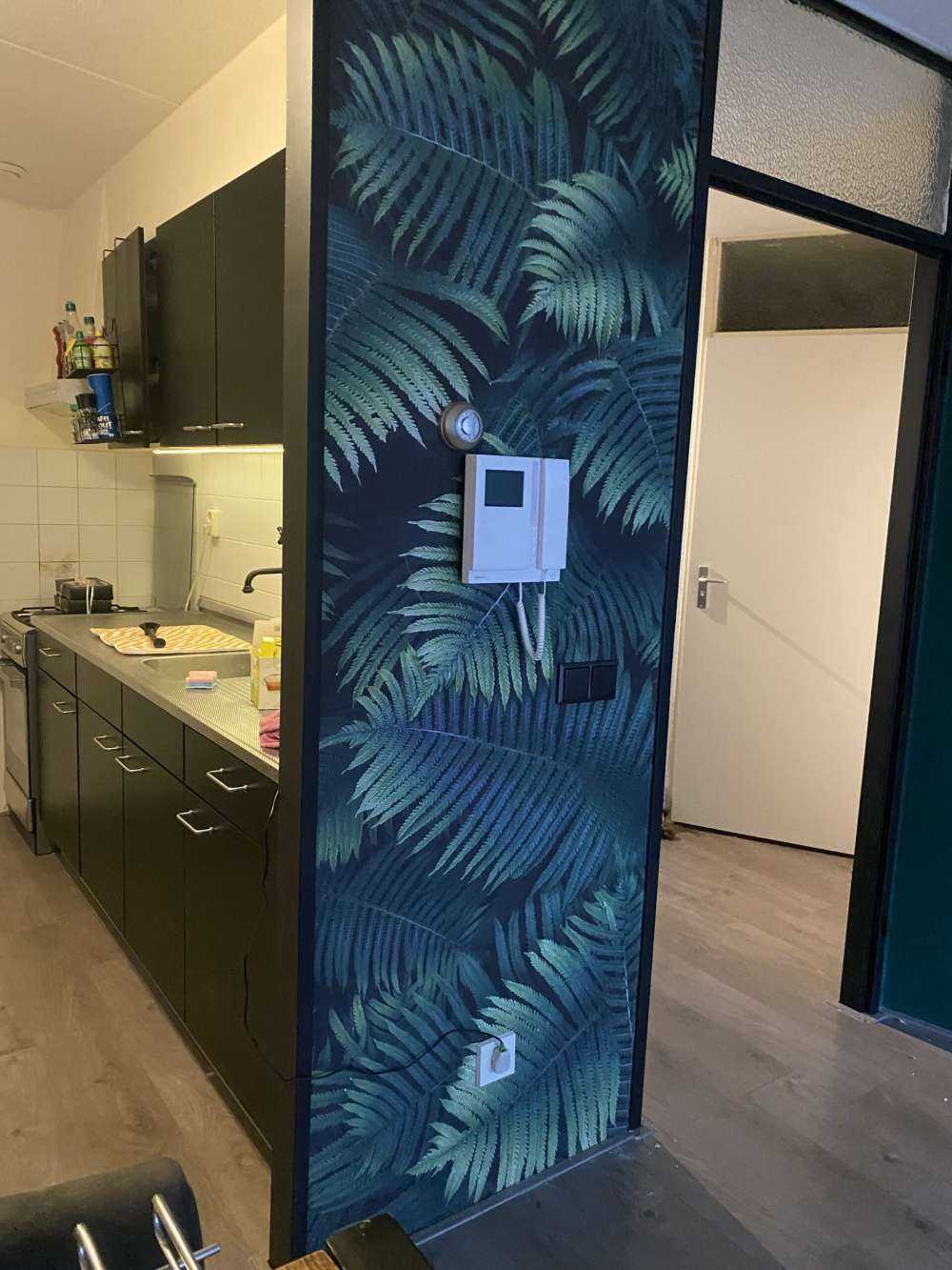 Hojas de palmera grandes