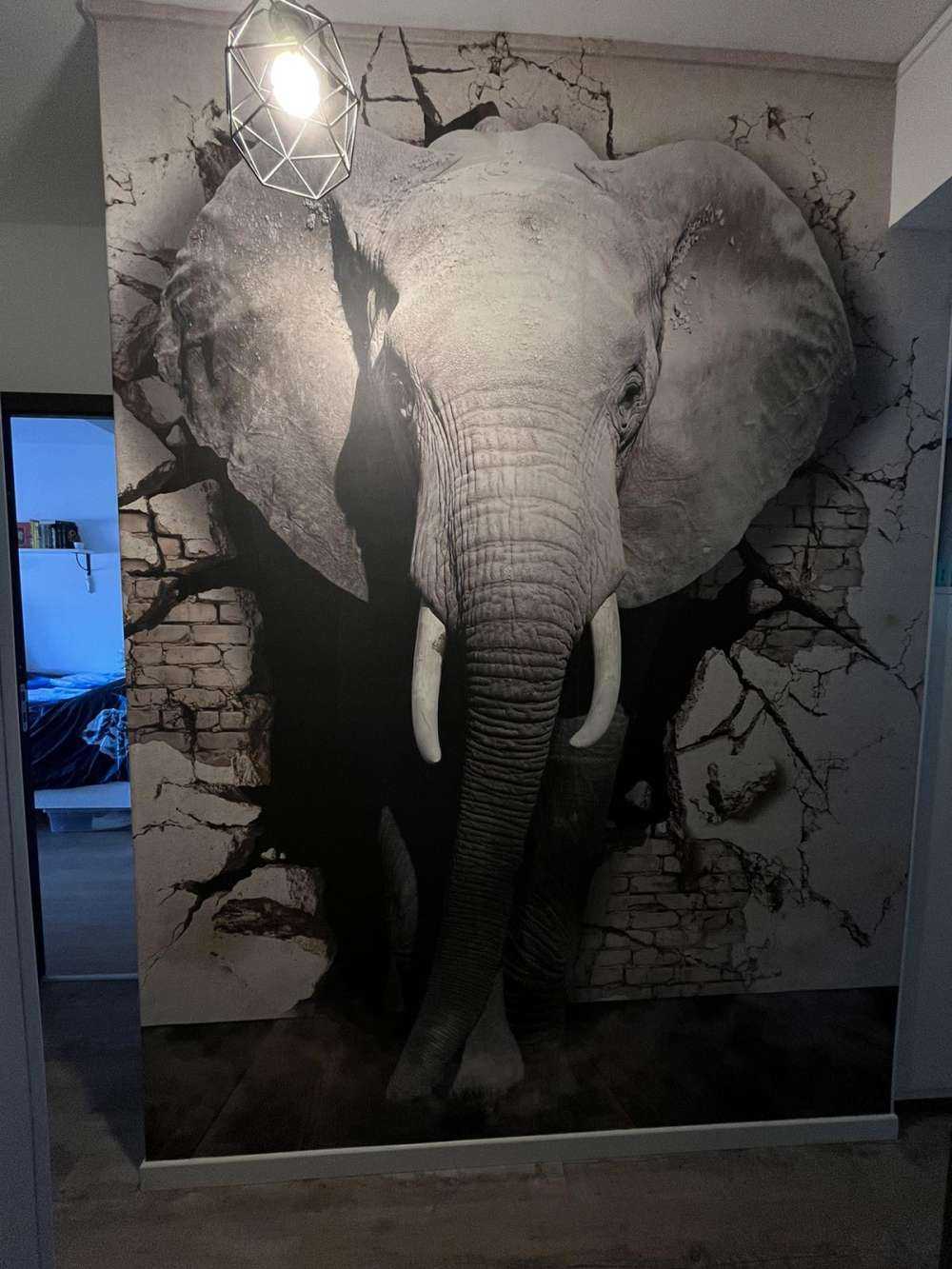 Elefante 3D de la pared