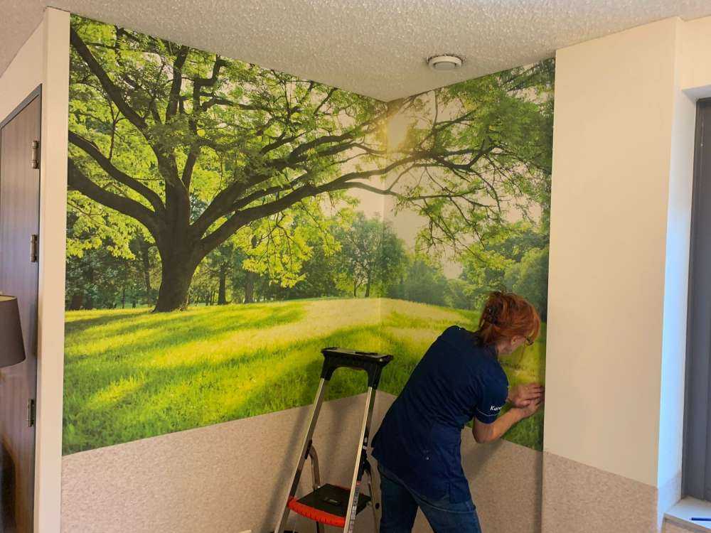Hermoso árbol con hierba verde