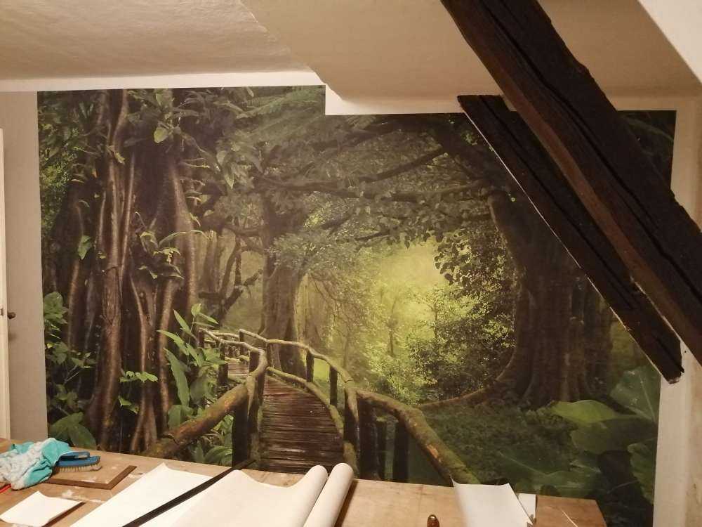 Puente de madera a través de una selva verde