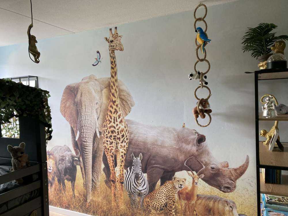 Animales de la sabana