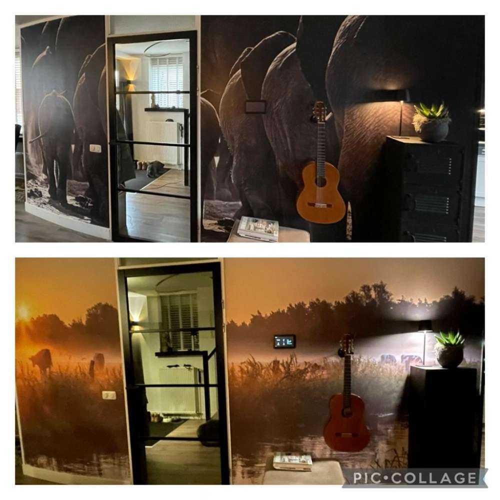 Vacas en el prado