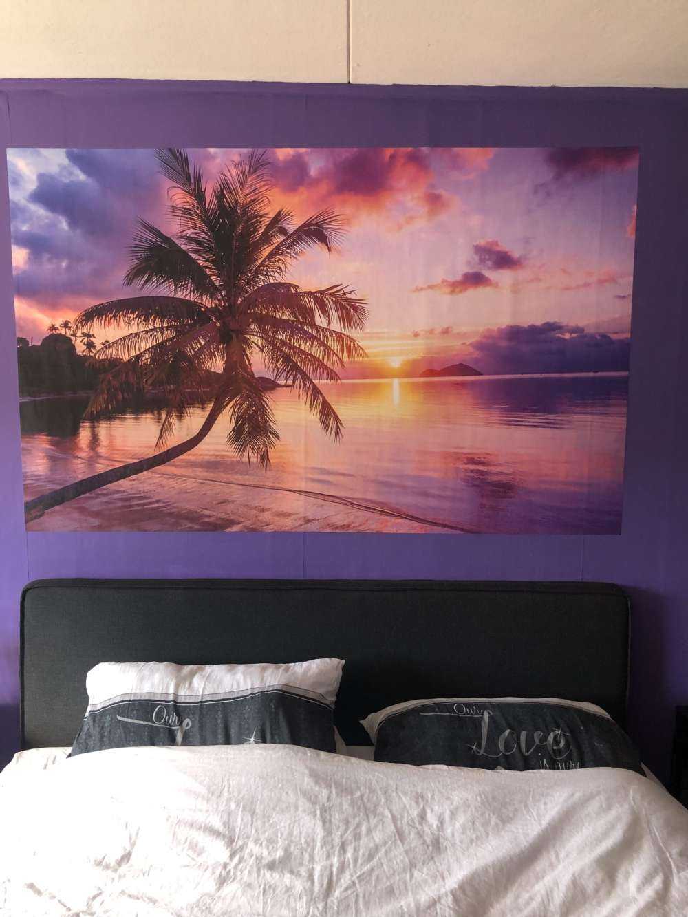 Palmera en una puesta de sol