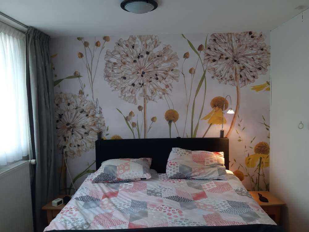 Alliums y heleniums