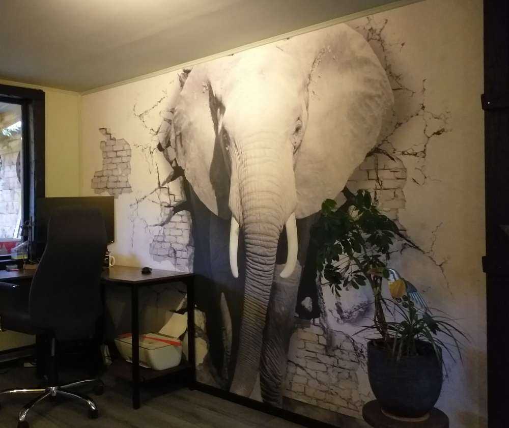 Elefante 3D de la pared