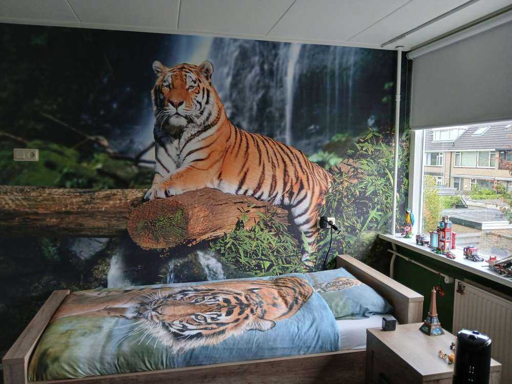 Tigre en la selva