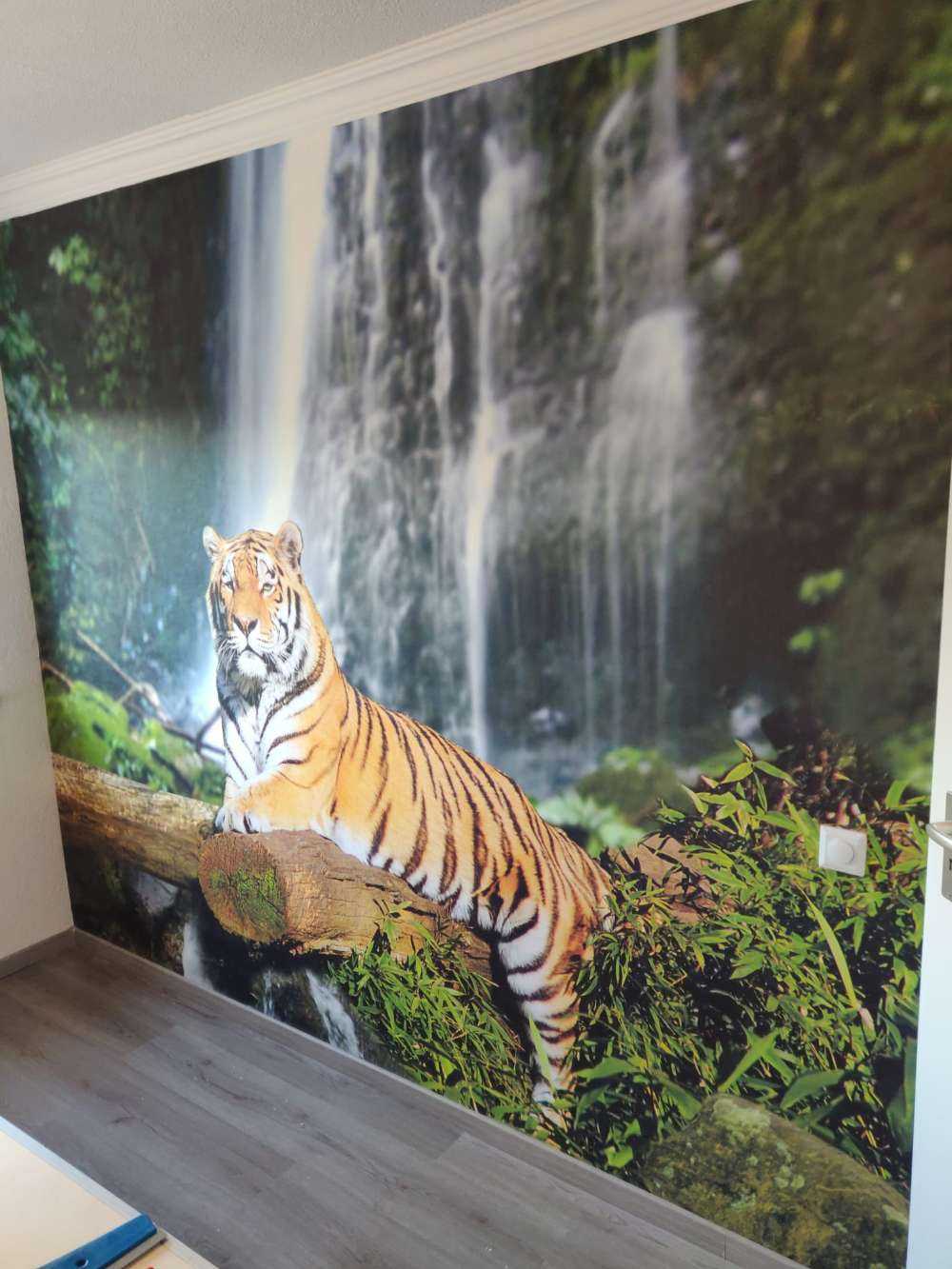 Tigre en la selva