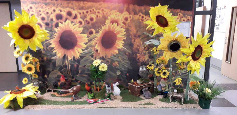 Granja de girasoles