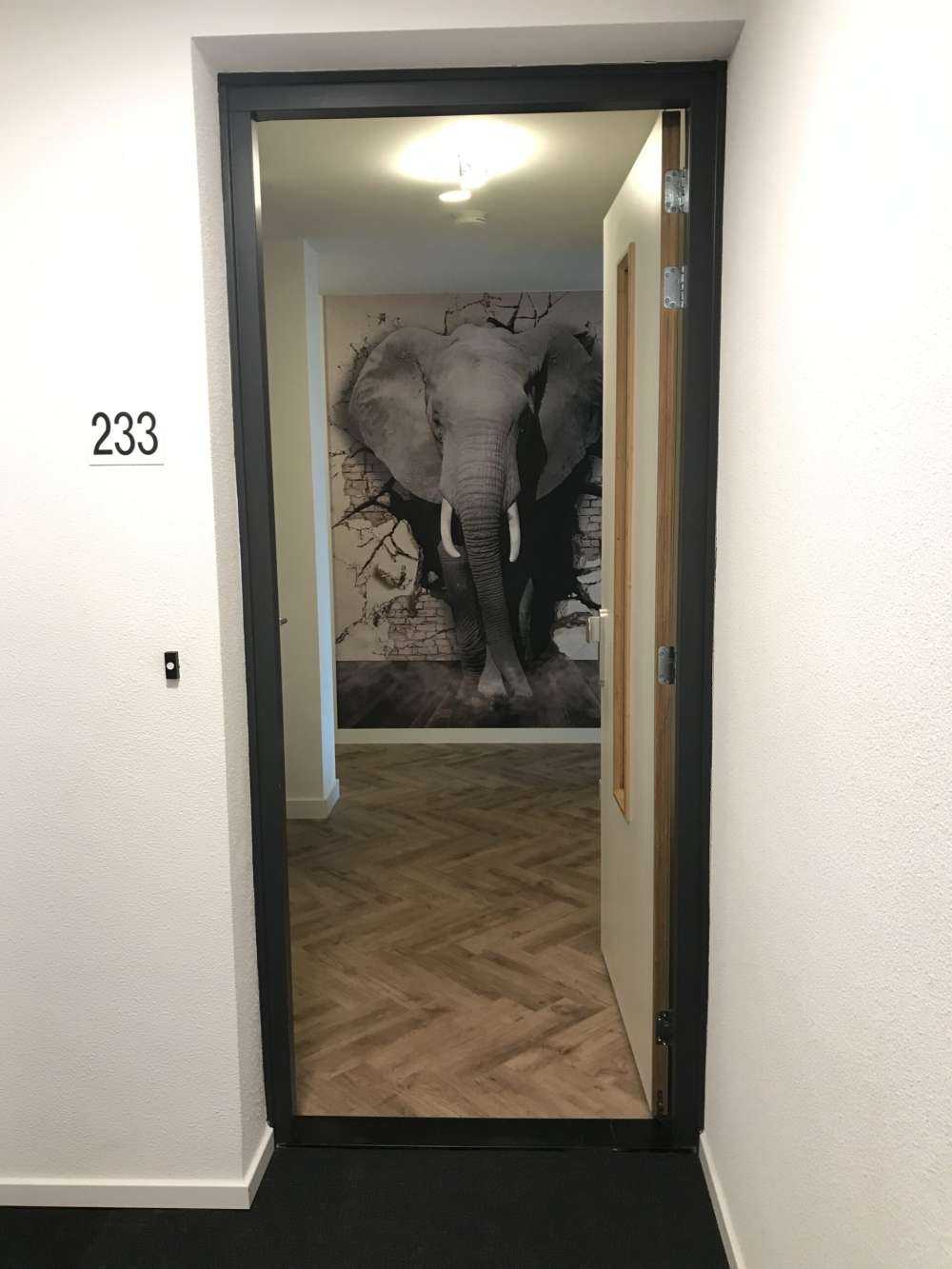 Elefante 3D de la pared