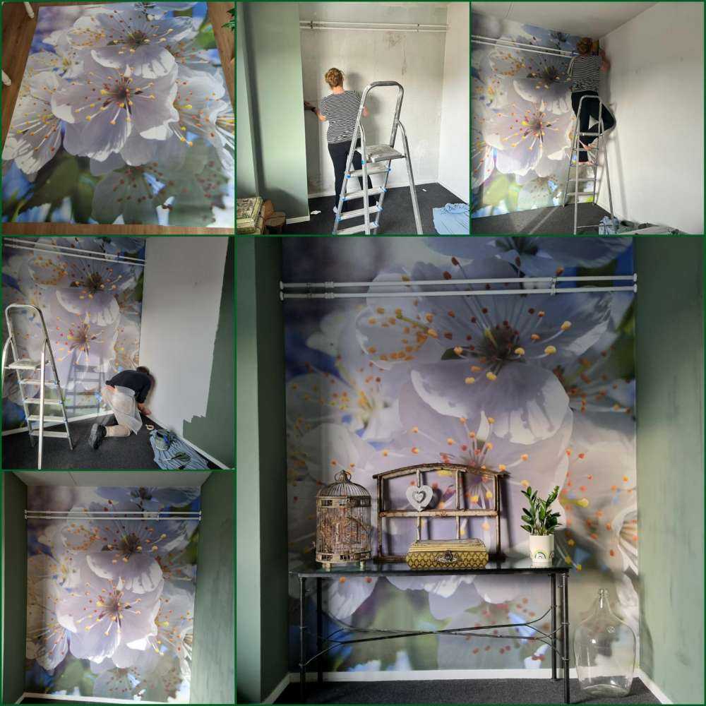 Primer plano de las flores blancas