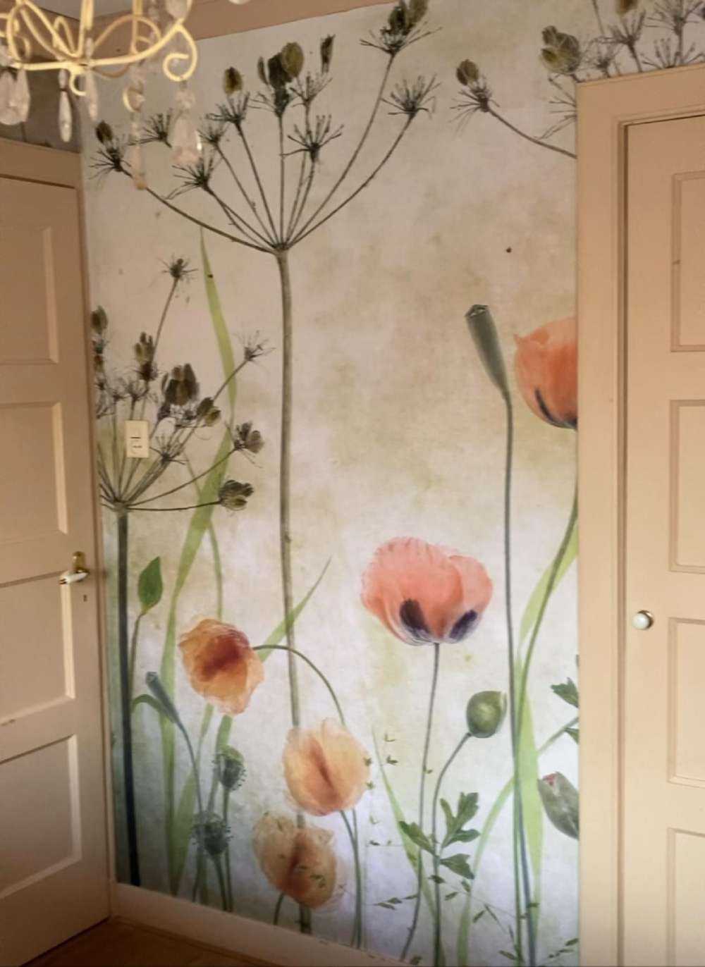 Poppy Meadow