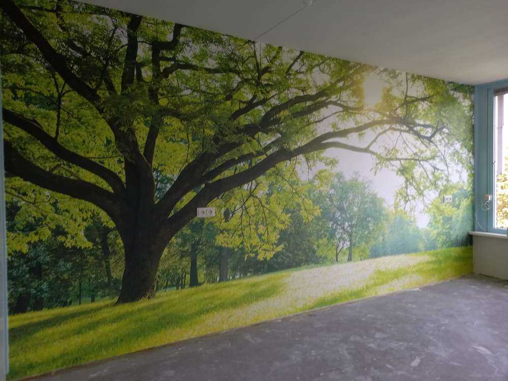 Hermoso árbol con hierba verde