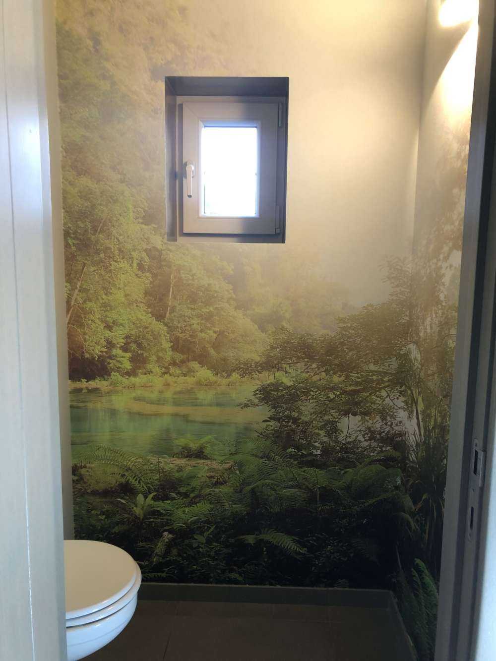 Lago en la selva