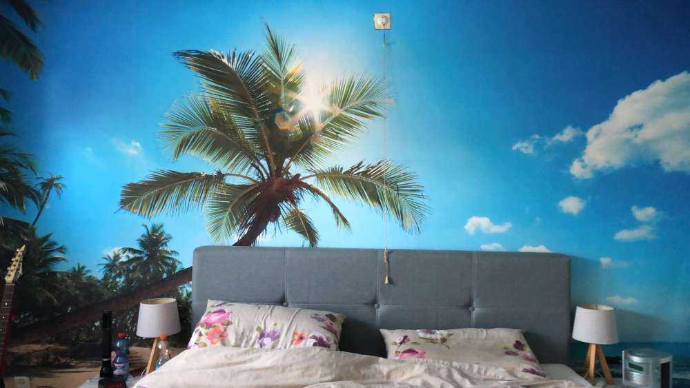 Gran palmera