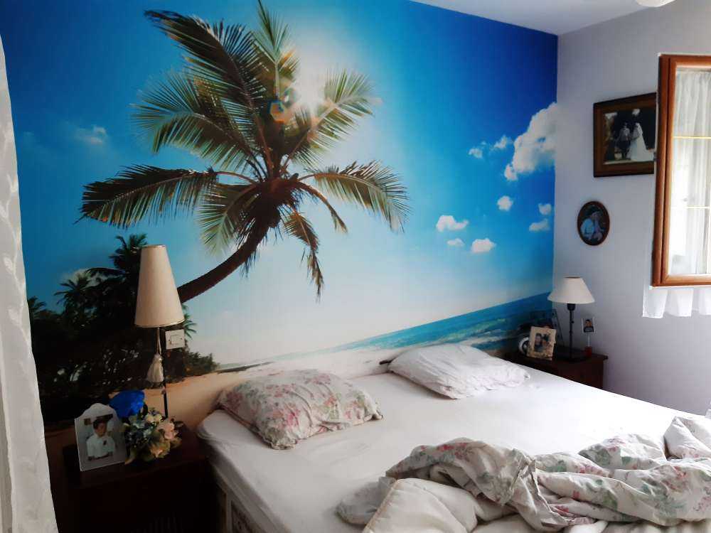 Gran palmera