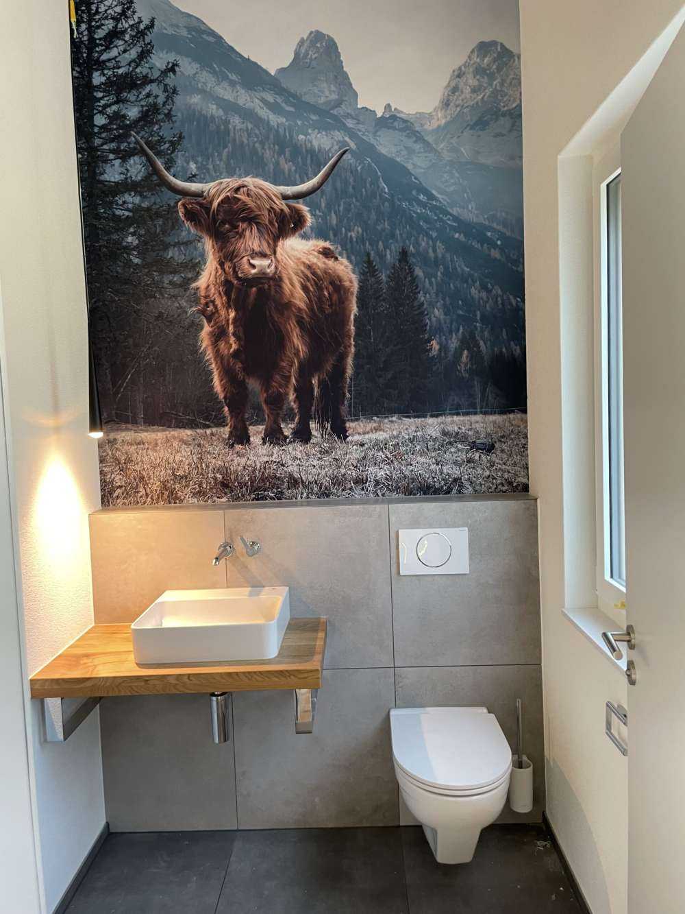 Una vaca escocesa entre los árboles