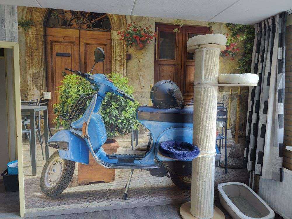 Scooter azul