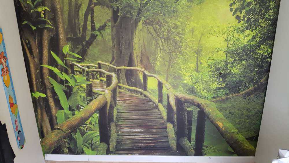 Puente de madera a través de una selva verde