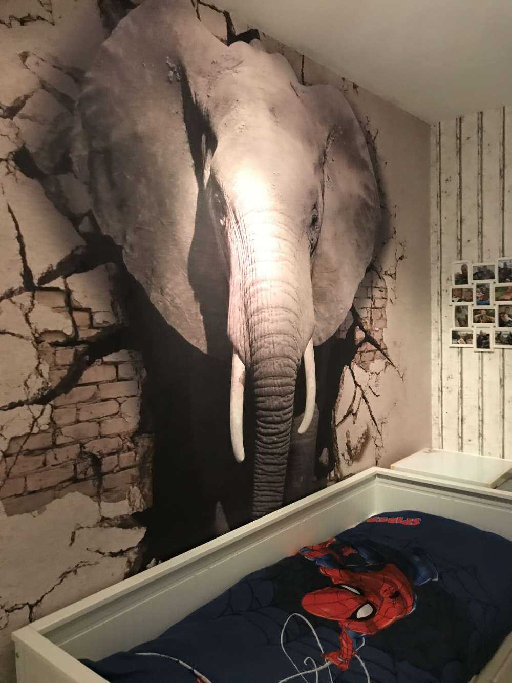 Elefante 3D de la pared