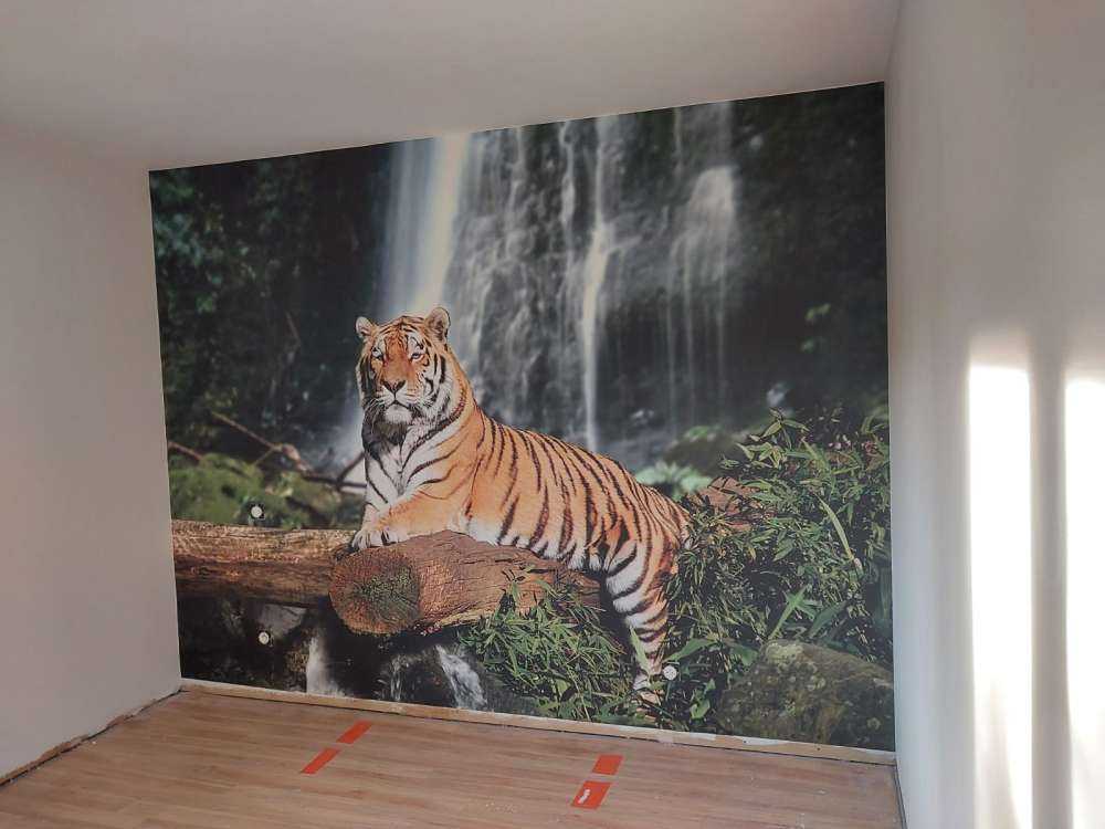 Tigre en la selva