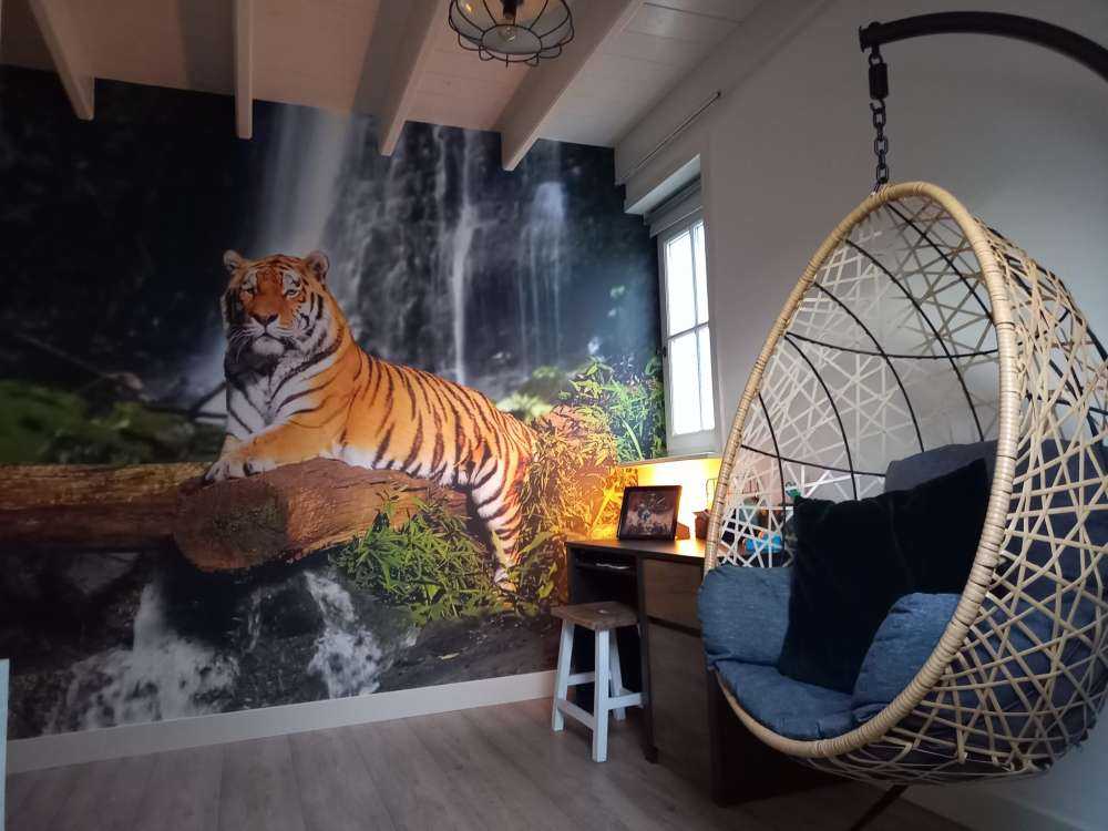 Tigre en la selva