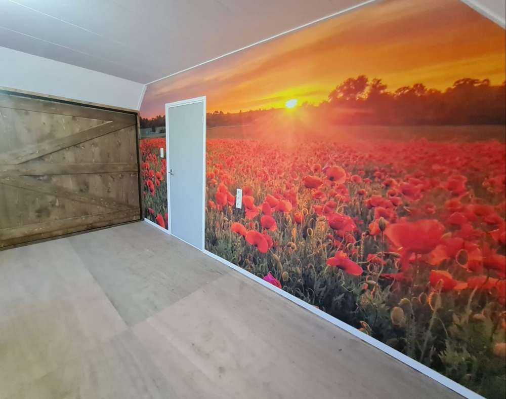 Campo de amapolas en flor