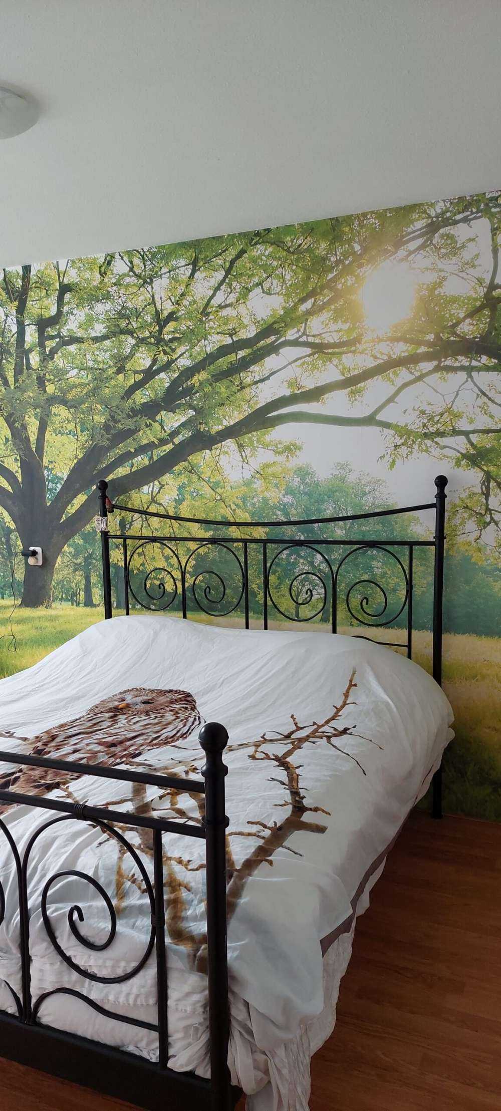 Hermoso árbol con hierba verde