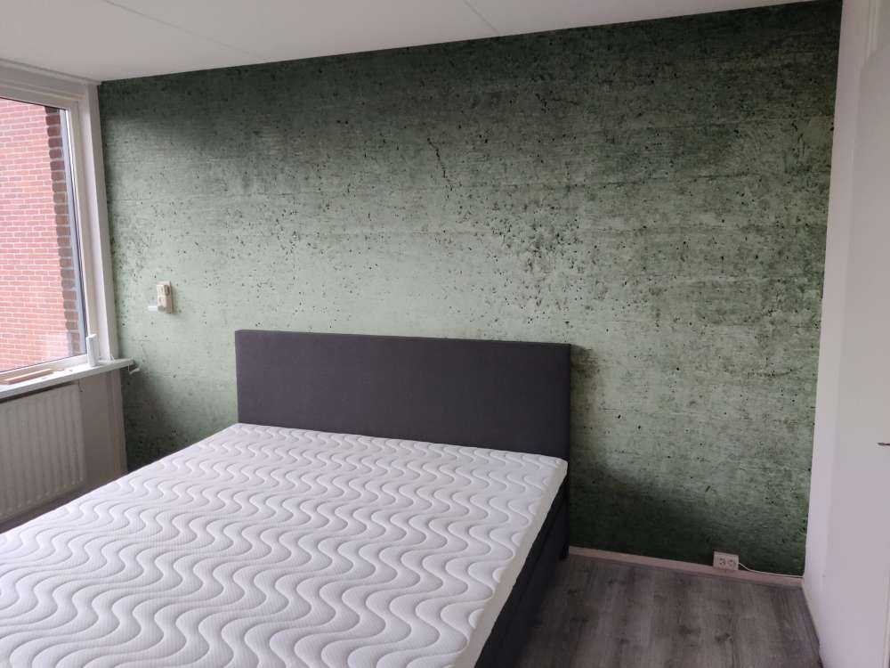 Muro de hormigón verde
