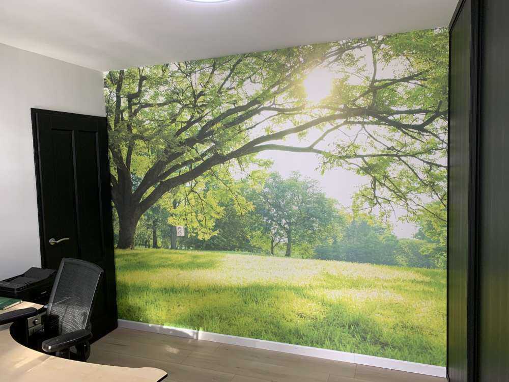 Hermoso árbol con hierba verde
