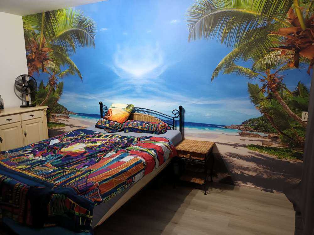 Playa tropical con palmera