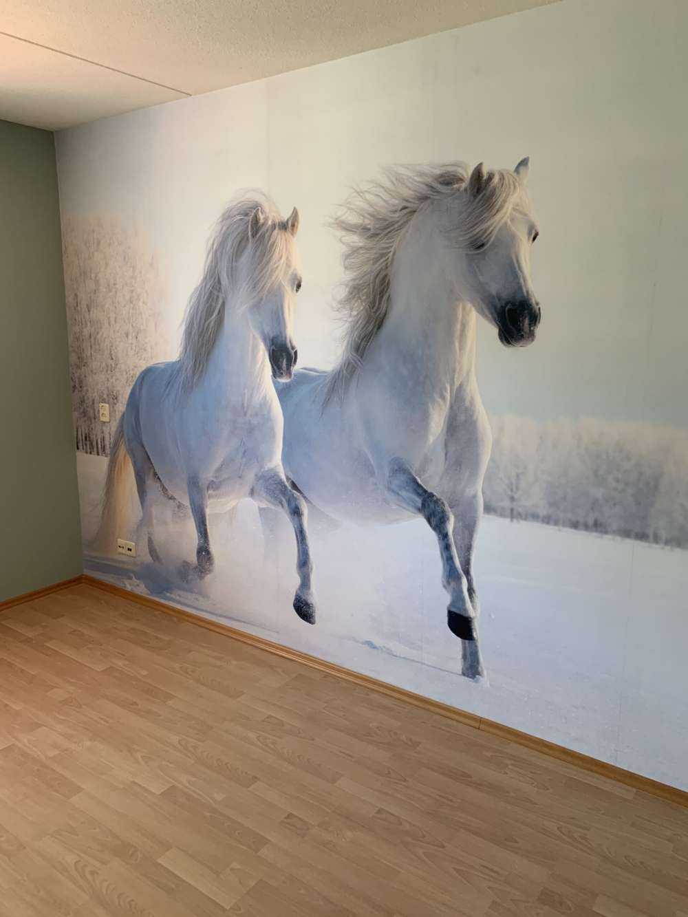 Caballos en la nieve