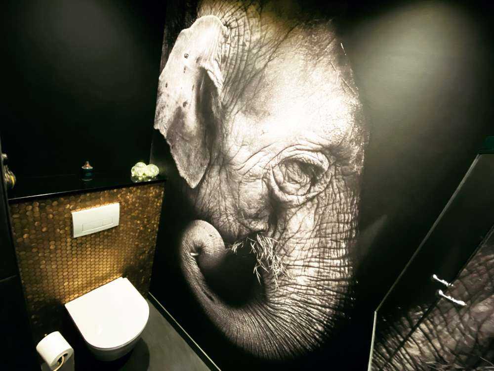 Retrato de elefante