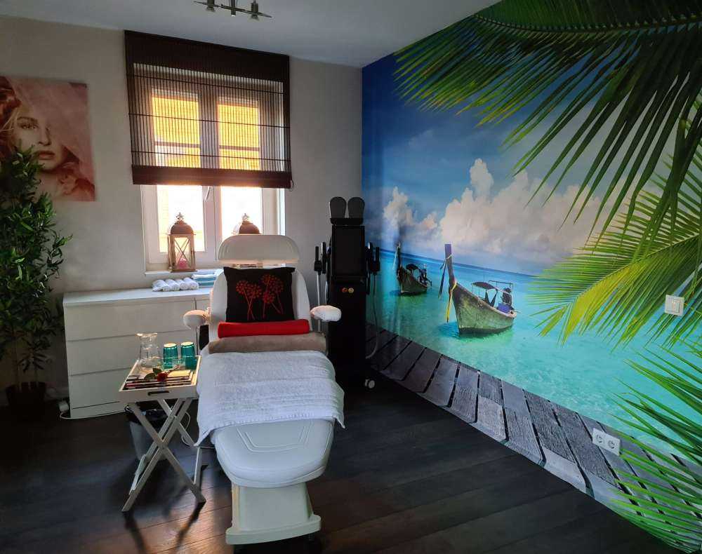 Barco y una palmera
