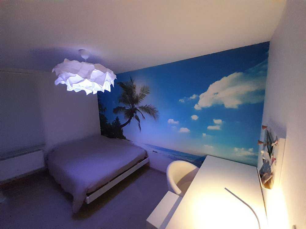 Gran palmera