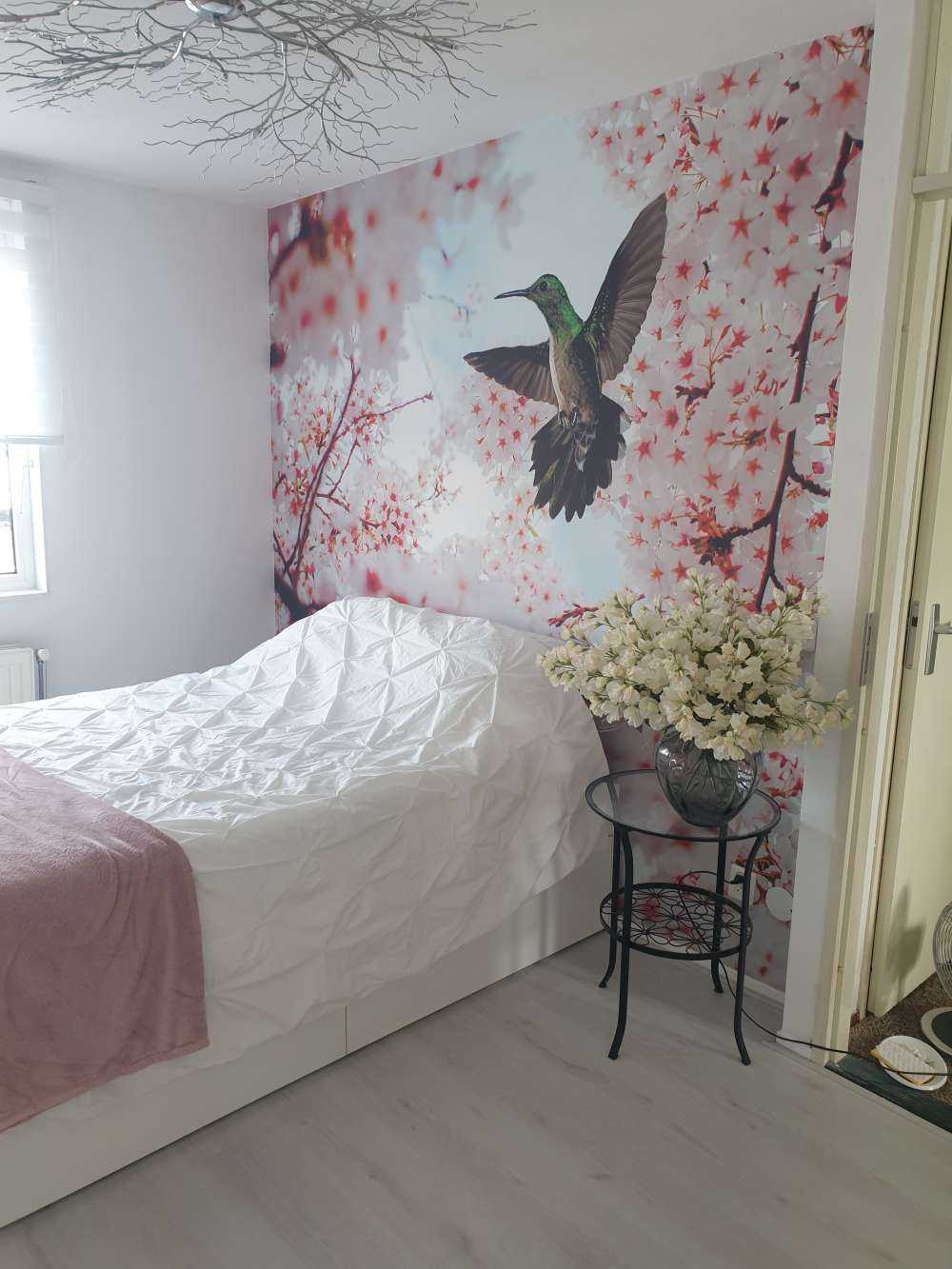 Colibrí entre las flores