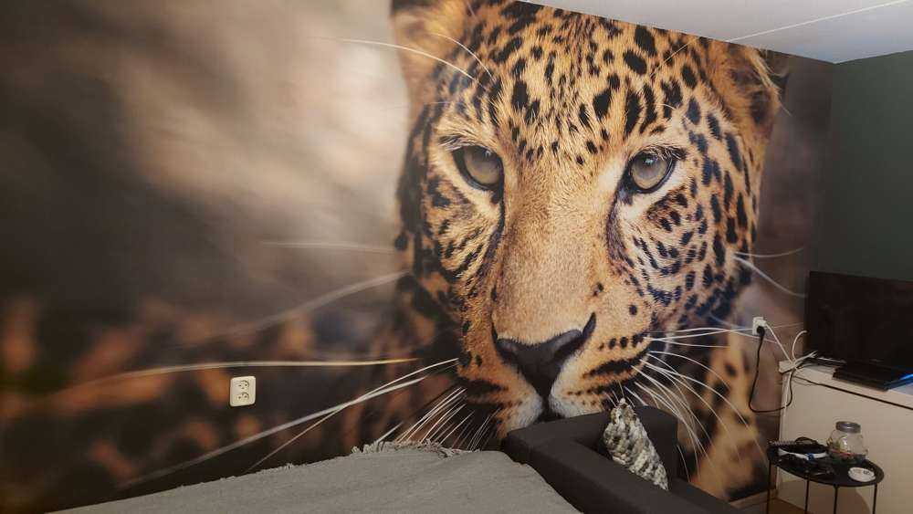 Primer plano de un leopardo