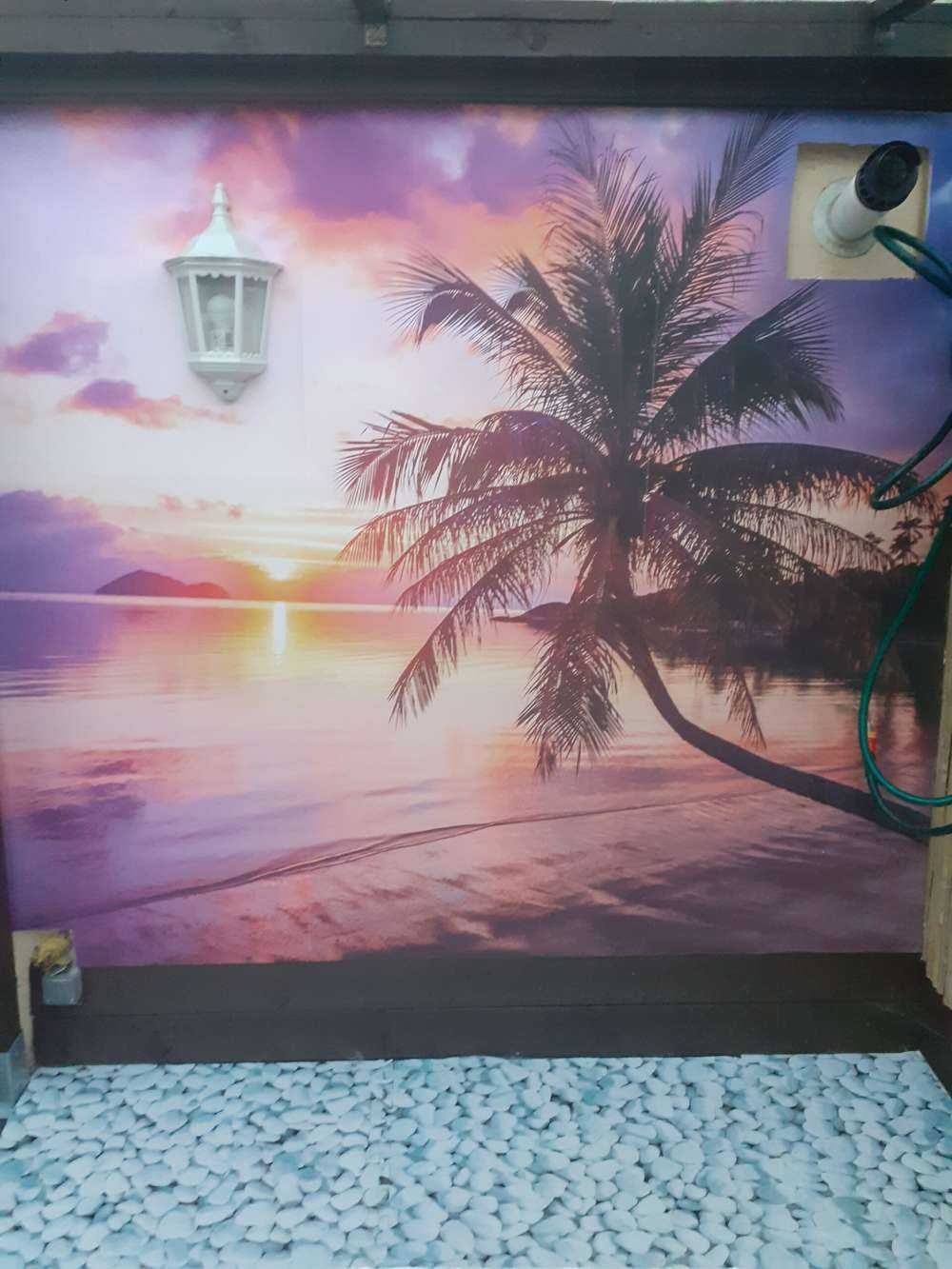 Palmera en una puesta de sol