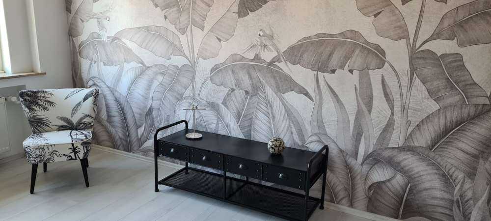 Hojas tropicales sobre hormigón