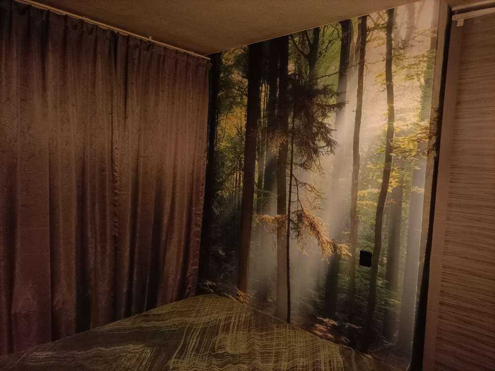 Amanecer en el bosque