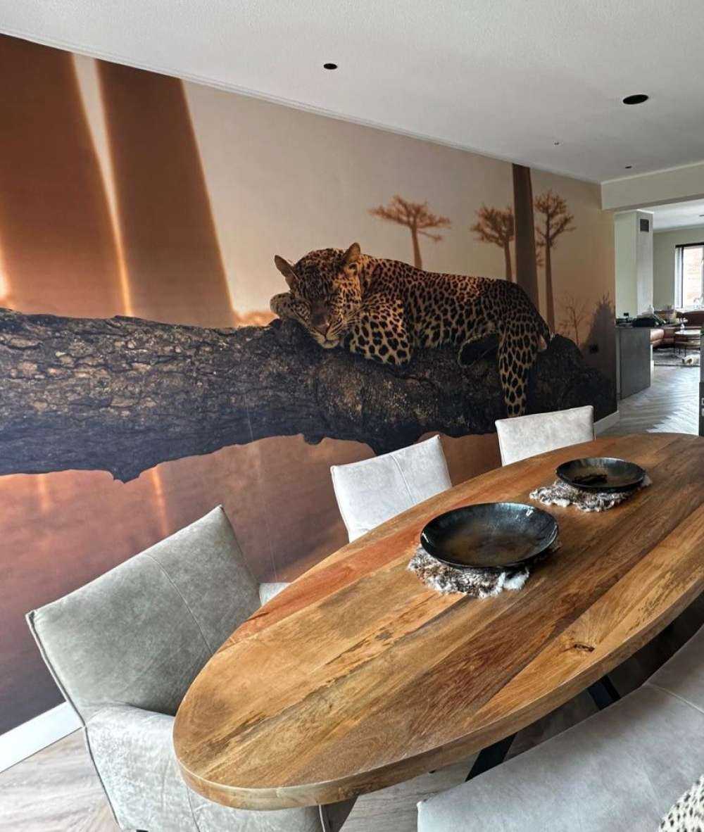 Leopardo dormido