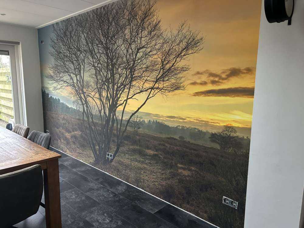 Amanecer en el páramo