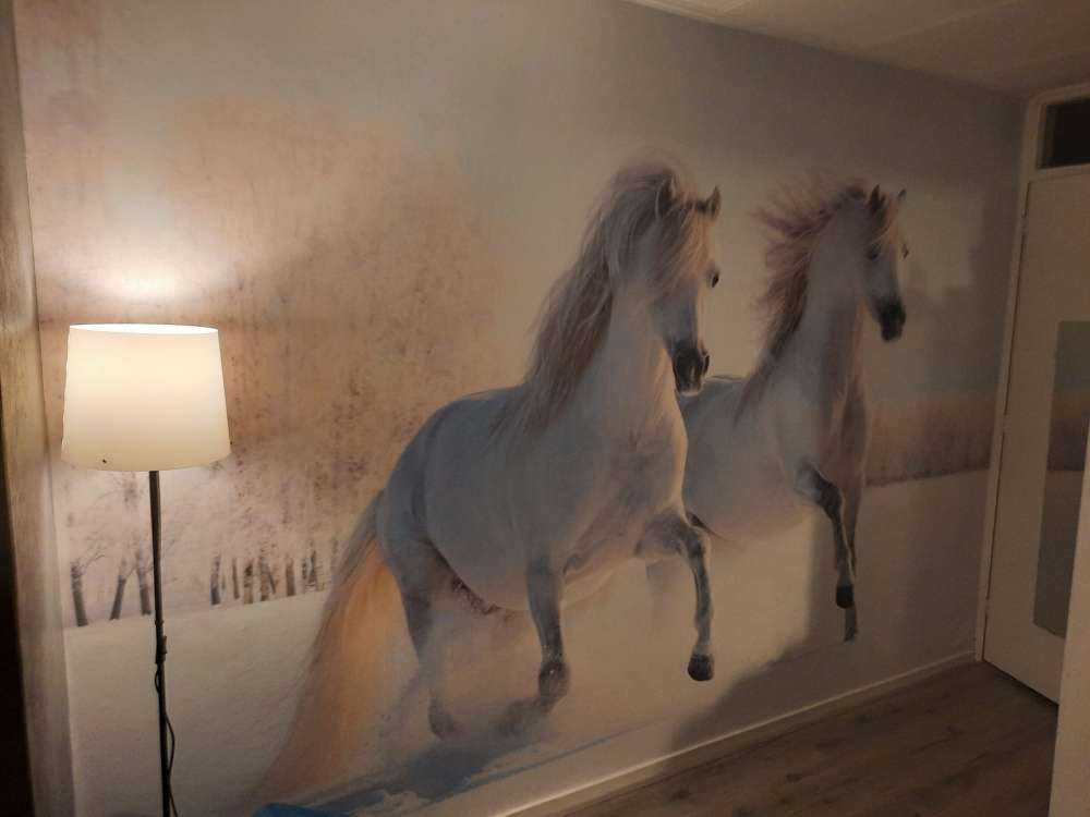 Caballos en la nieve