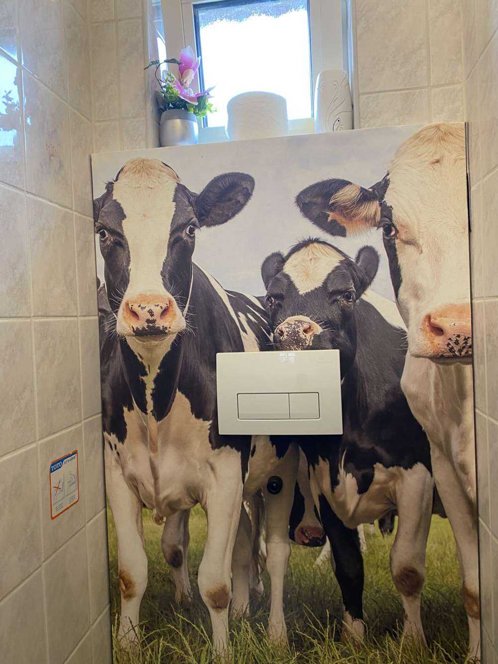 Rebaño con vacas