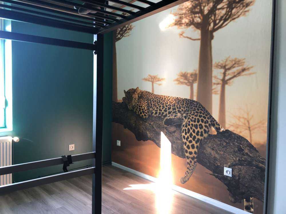 Leopardo dormido